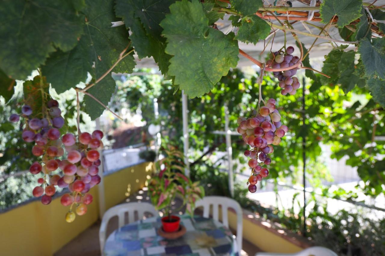 B&B Del Sole Tropea Riaci Екстер'єр фото